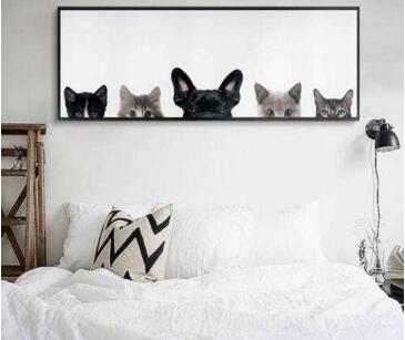 猫图片挂墙上有禁忌吗图片