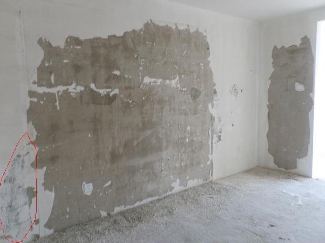 新房装修要铲墙皮吗